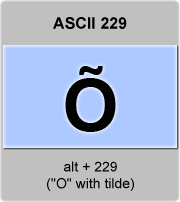 the ascii code 229 - Capital letter O with tilde or O-tilde 